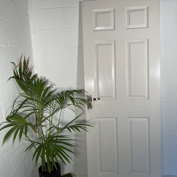 White Panelled door