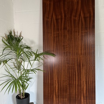 Walnut veneered door 